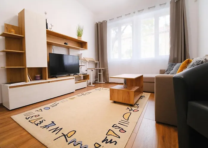 Apartment In The City Center